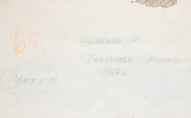 Назаров Константин Борисович. Тюленьи лунки 